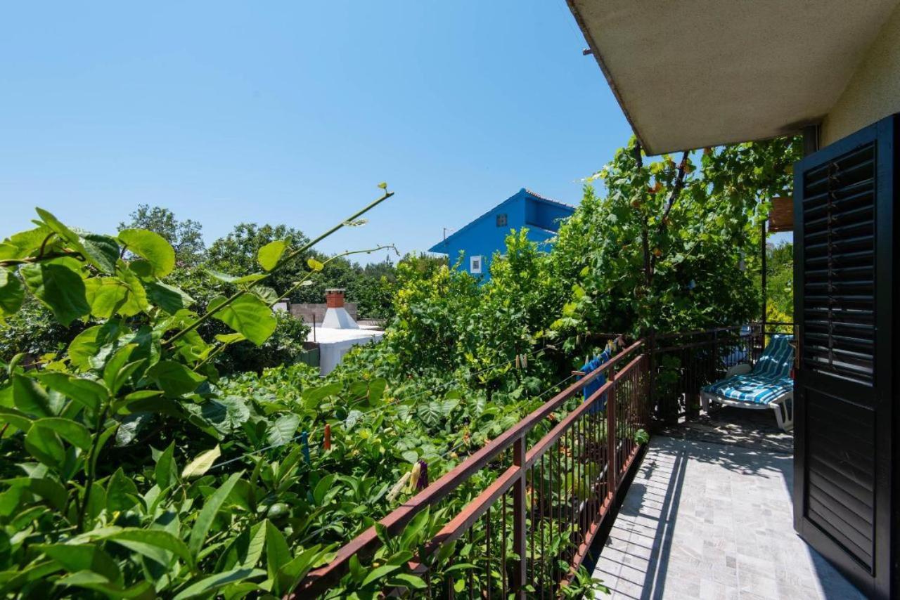 Apartments Ljiljana 오레비츠 외부 사진