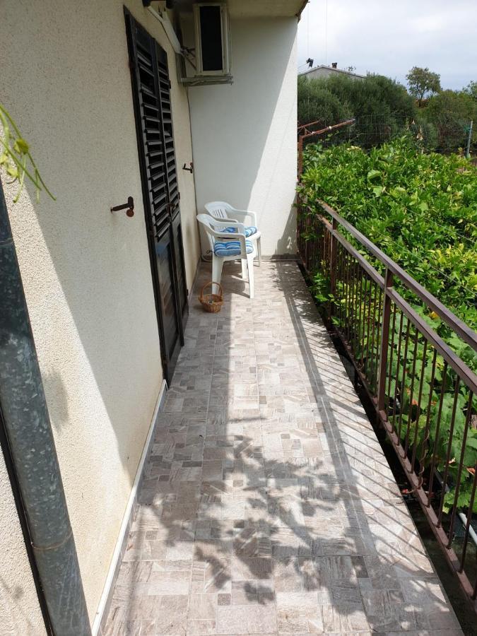 Apartments Ljiljana 오레비츠 외부 사진