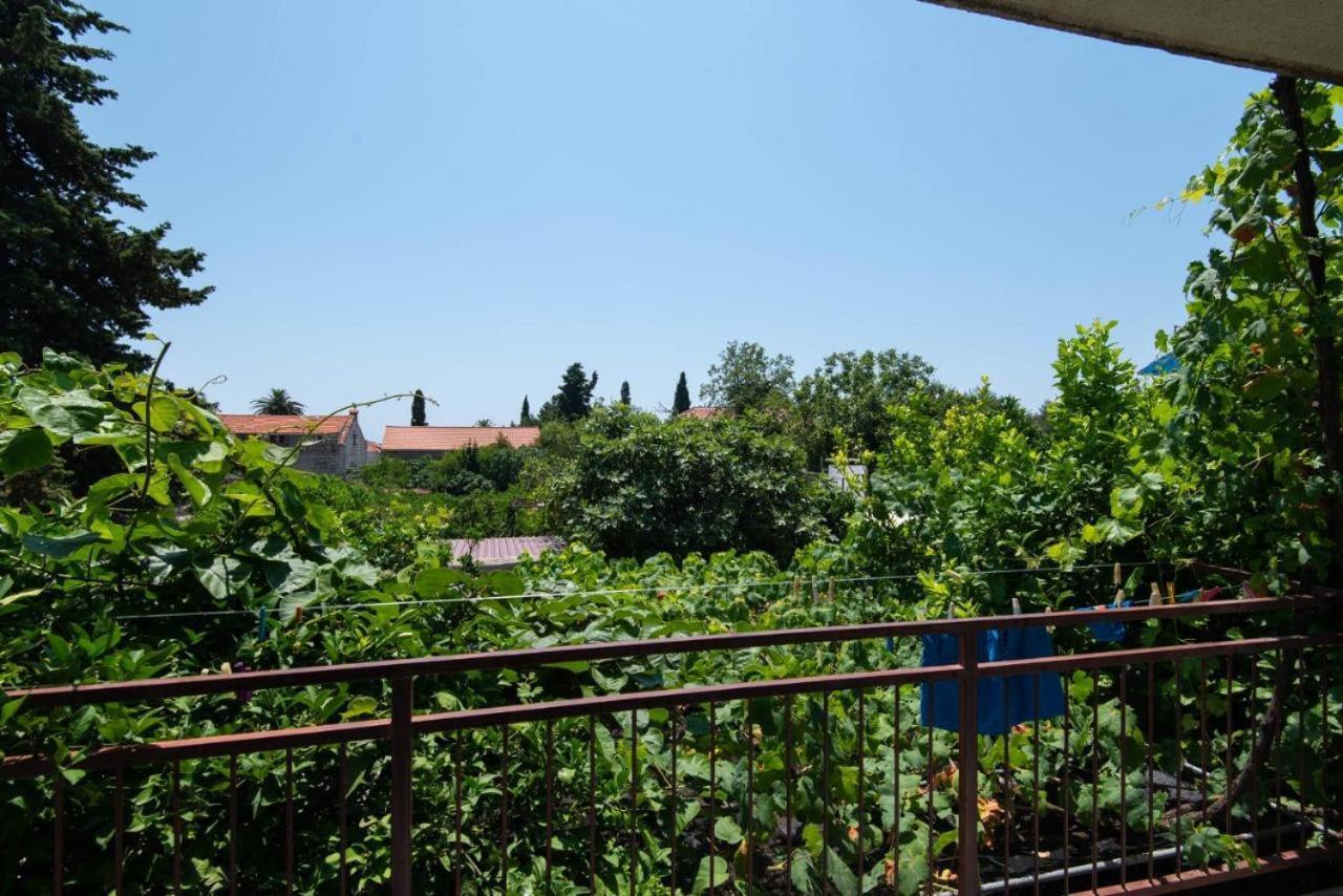 Apartments Ljiljana 오레비츠 외부 사진